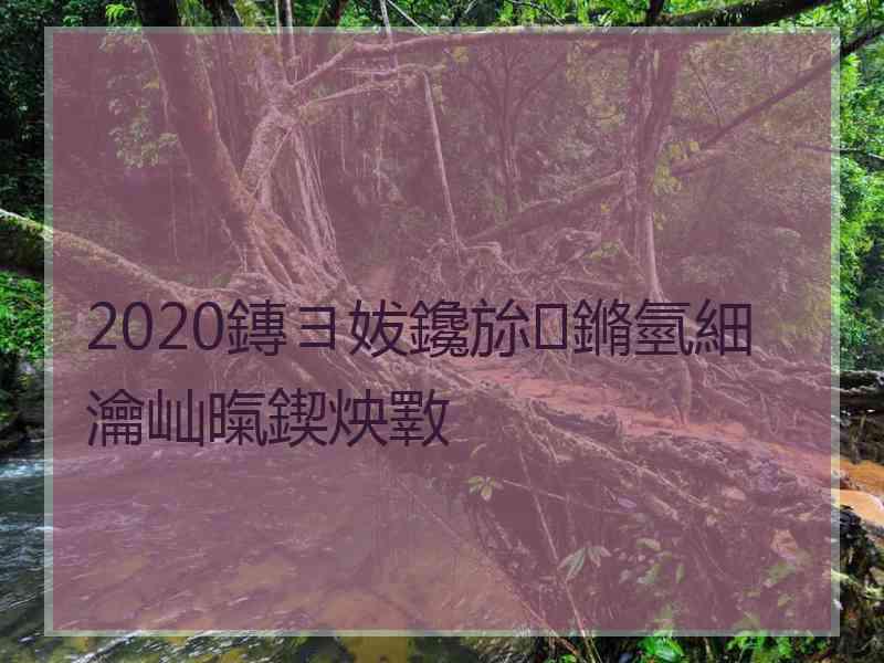 2020鏄ヨ妭鑱旀鏅氫細瀹屾暣鍥炴斁