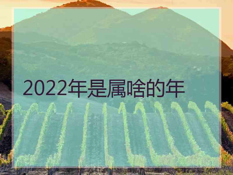 2022年是属啥的年