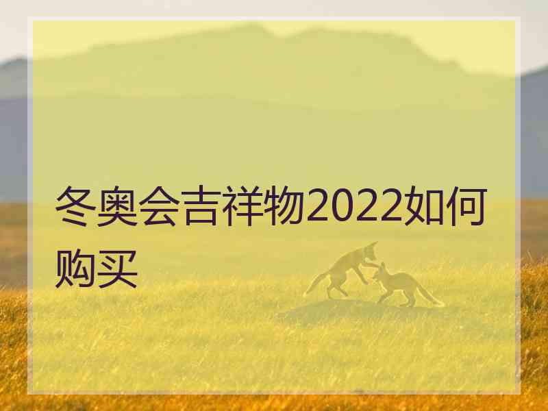 冬奥会吉祥物2022如何购买