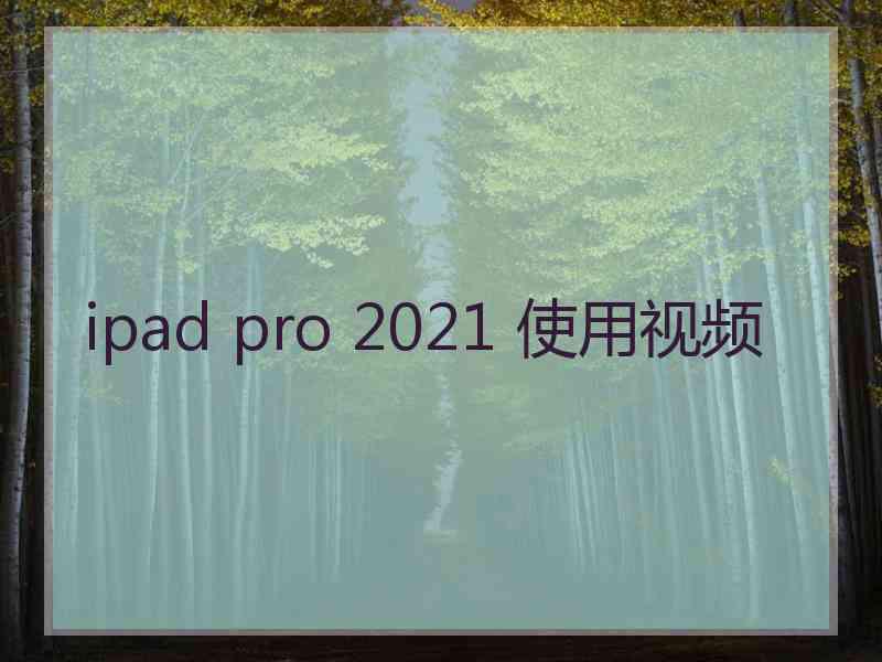 ipad pro 2021 使用视频