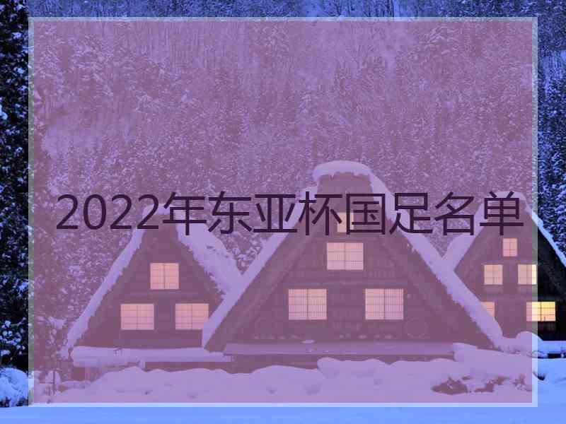 2022年东亚杯国足名单