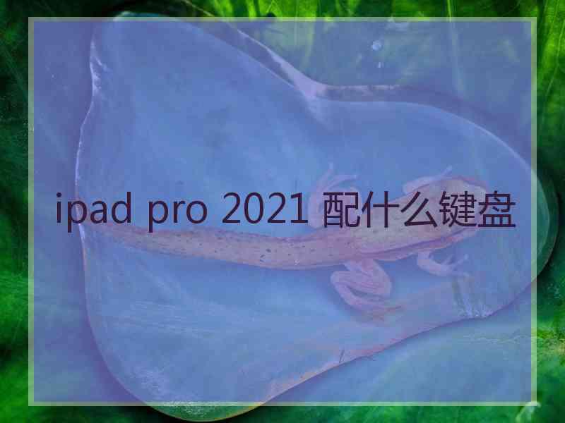 ipad pro 2021 配什么键盘