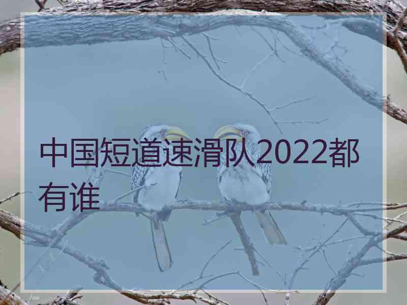 中国短道速滑队2022都有谁