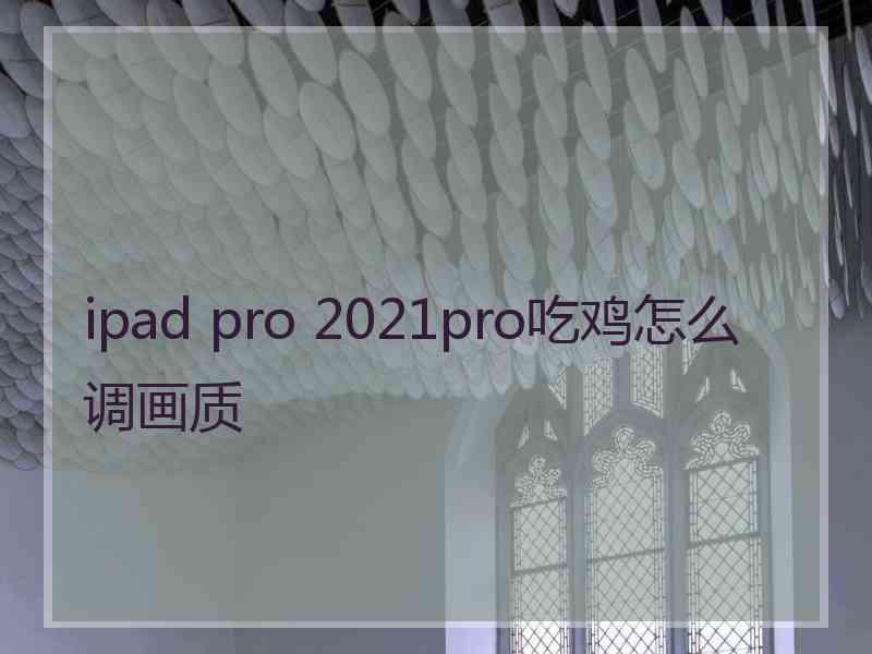 ipad pro 2021pro吃鸡怎么调画质