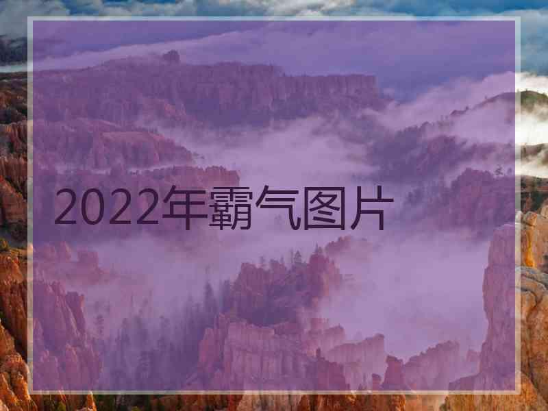 2022年霸气图片