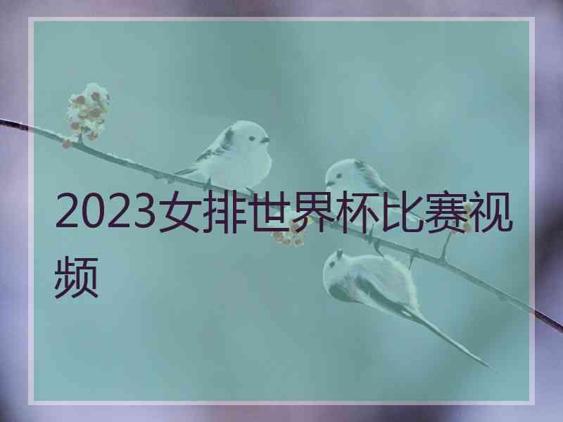 2023女排世界杯比赛视频