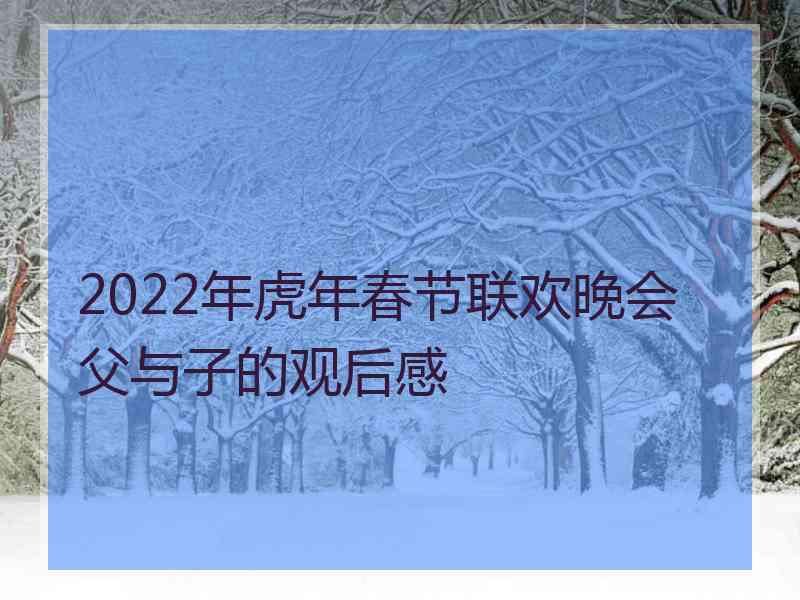 2022年虎年春节联欢晚会父与子的观后感