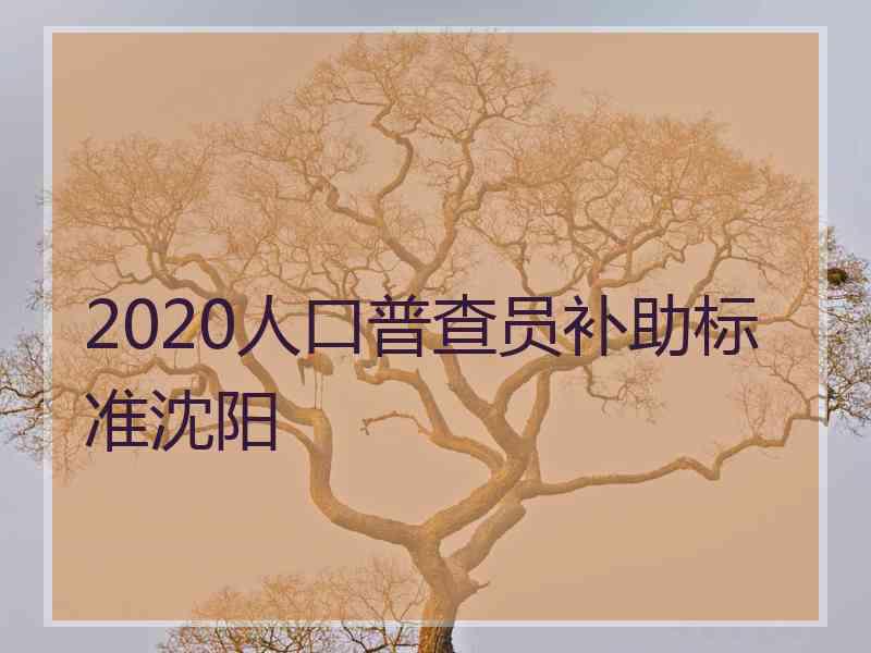 2020人口普查员补助标准沈阳