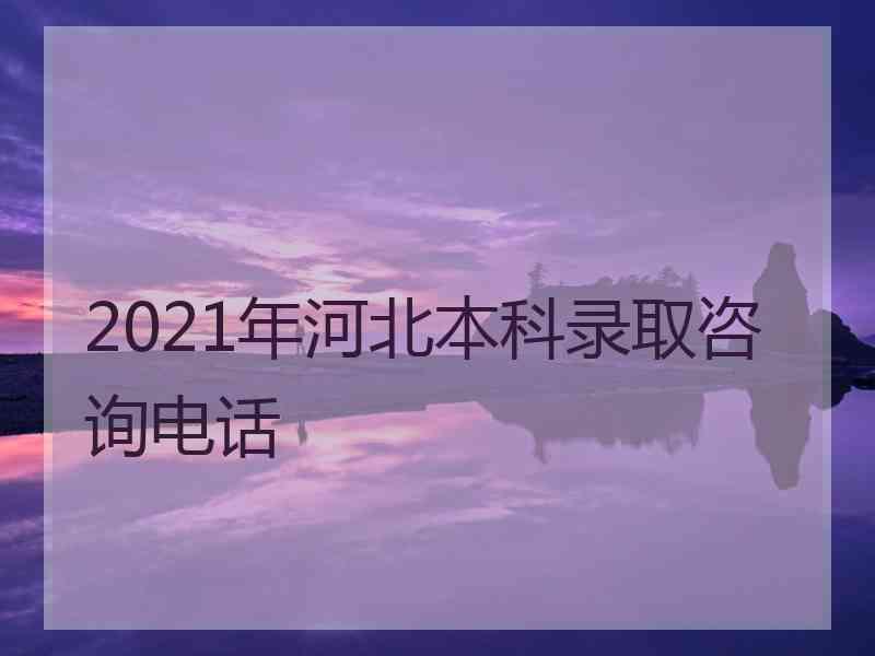 2021年河北本科录取咨询电话