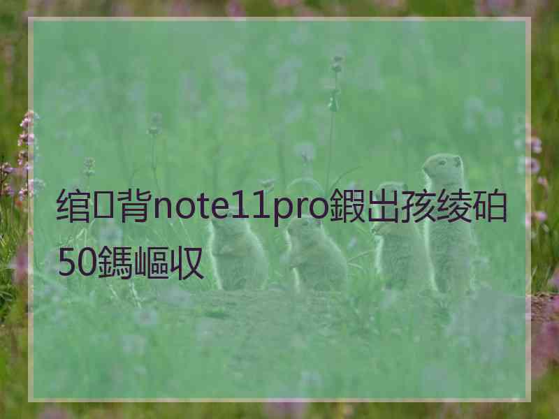 绾㈢背note11pro鍜岀孩绫砶50鎷嶇収