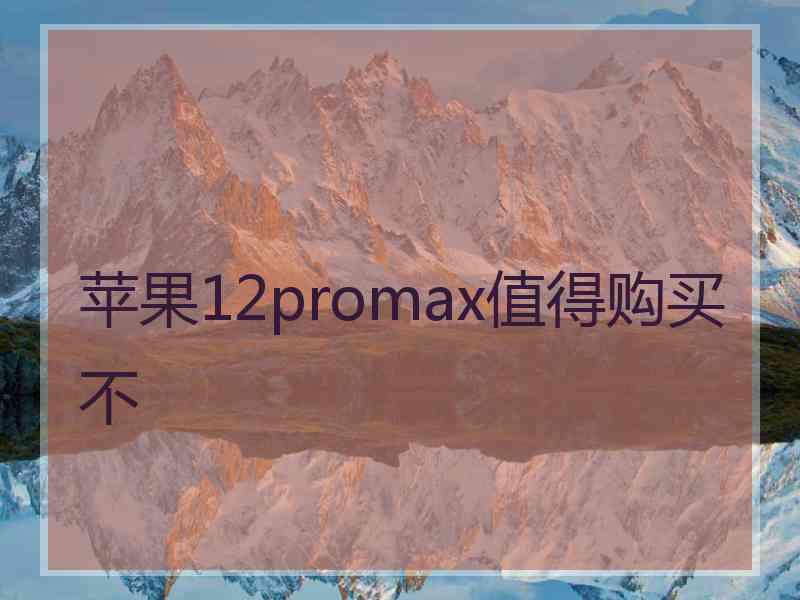 苹果12promax值得购买不