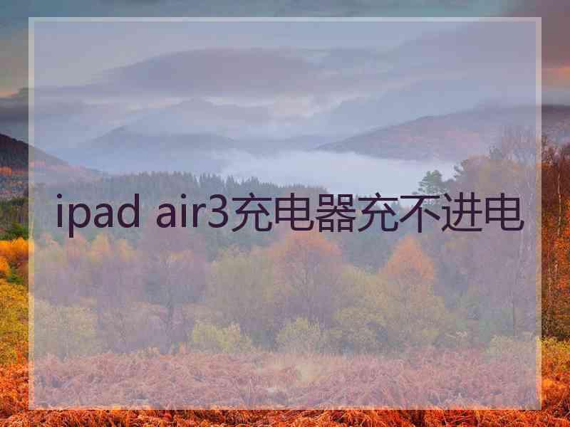 ipad air3充电器充不进电