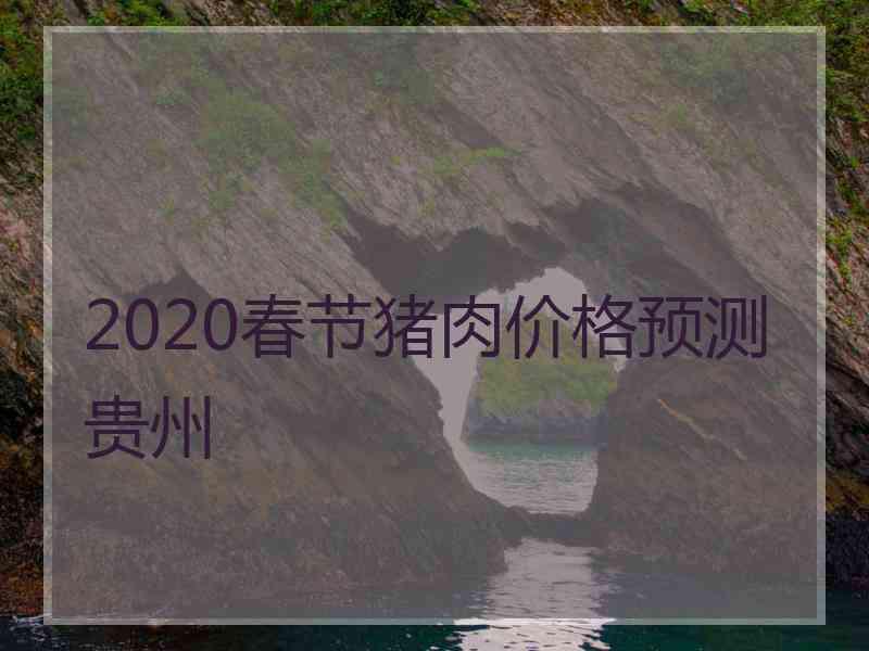 2020春节猪肉价格预测贵州