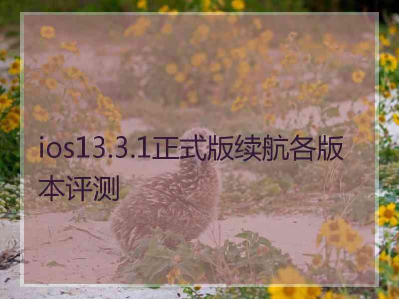 ios13.3.1正式版续航各版本评测