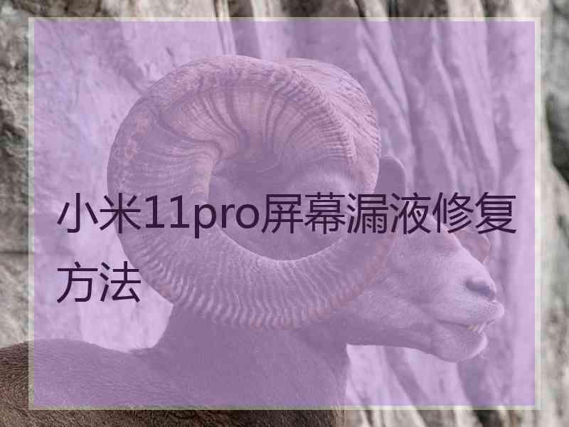 小米11pro屏幕漏液修复方法