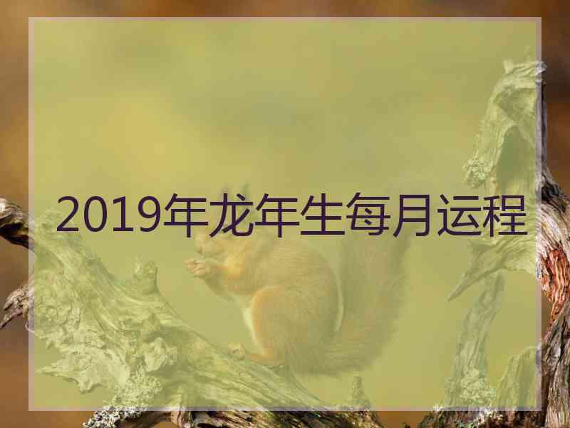 2019年龙年生每月运程