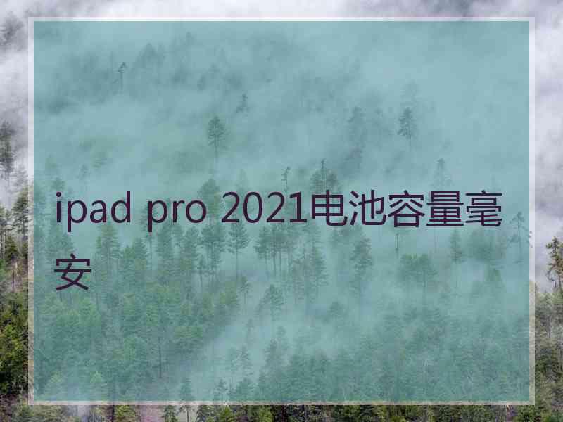 ipad pro 2021电池容量毫安