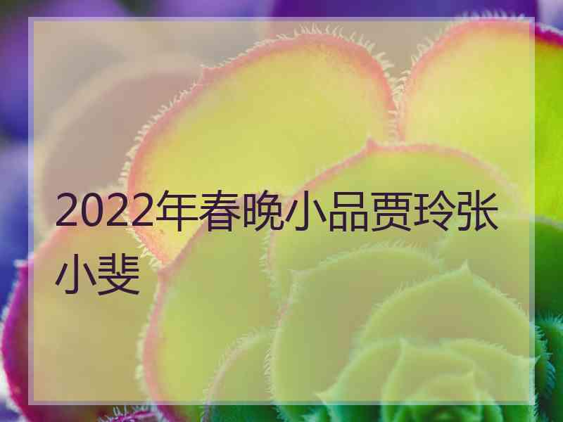 2022年春晚小品贾玲张小斐