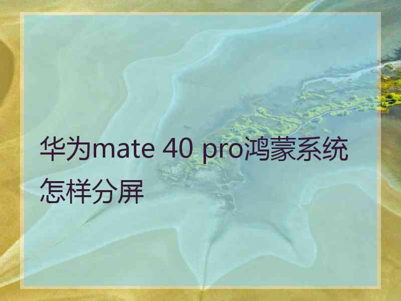 华为mate 40 pro鸿蒙系统怎样分屏