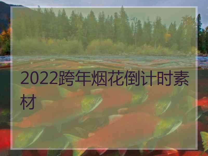 2022跨年烟花倒计时素材