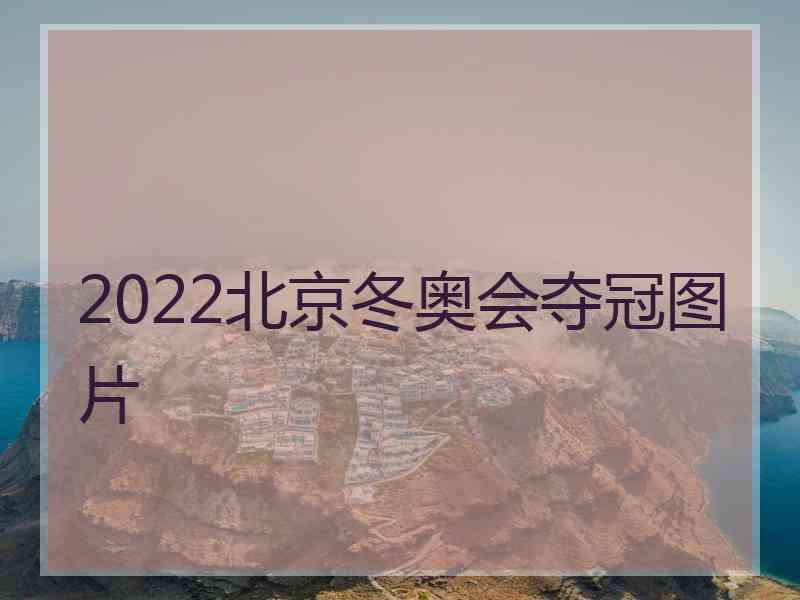 2022北京冬奥会夺冠图片