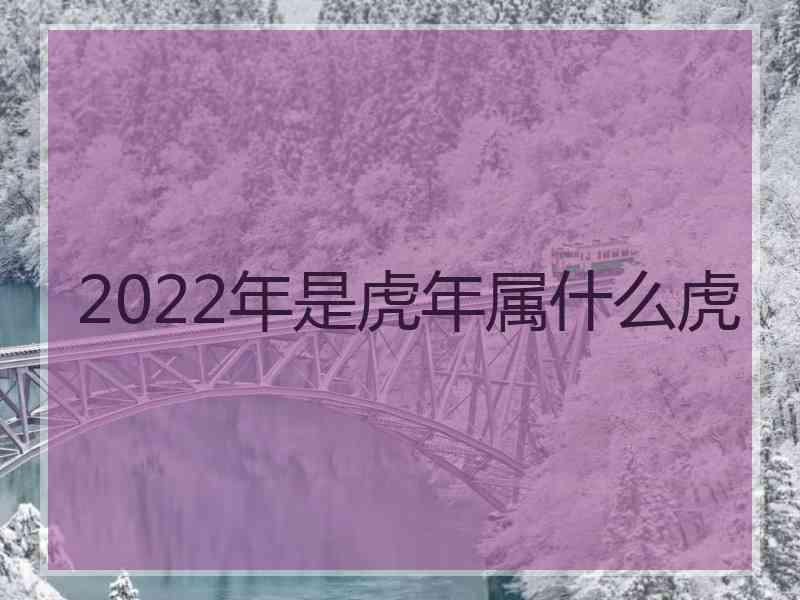 2022年是虎年属什么虎