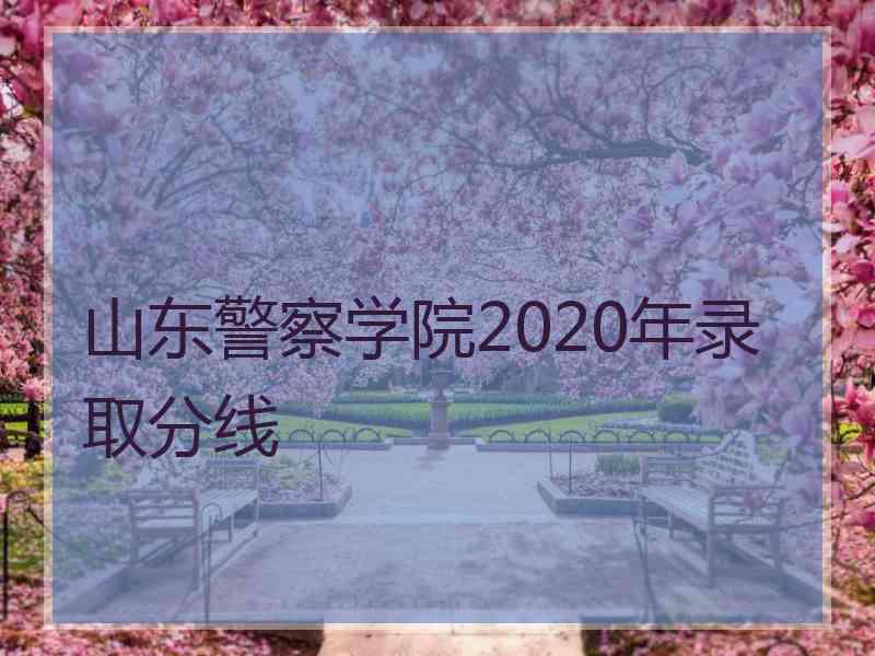 山东警察学院2020年录取分线