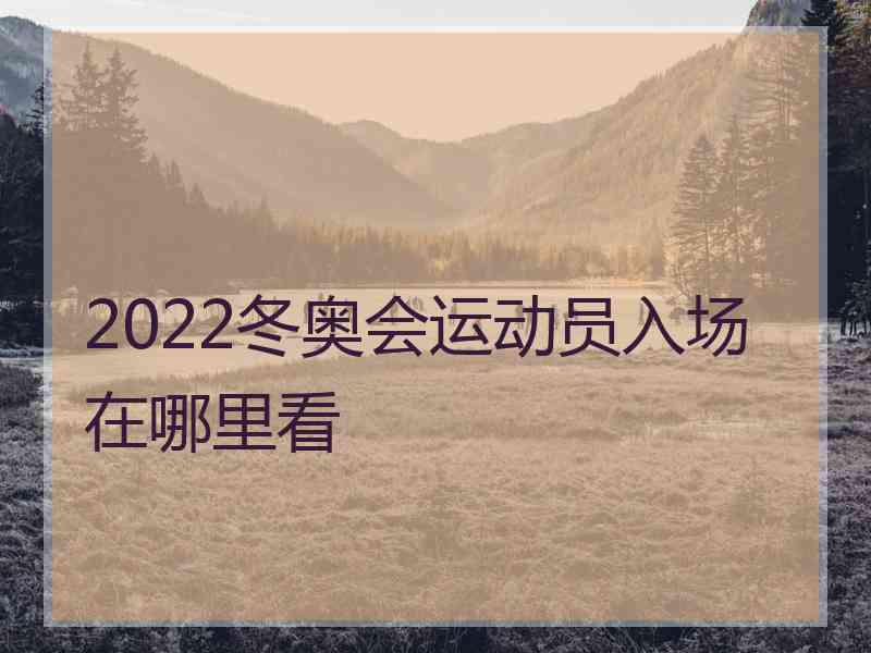 2022冬奥会运动员入场在哪里看