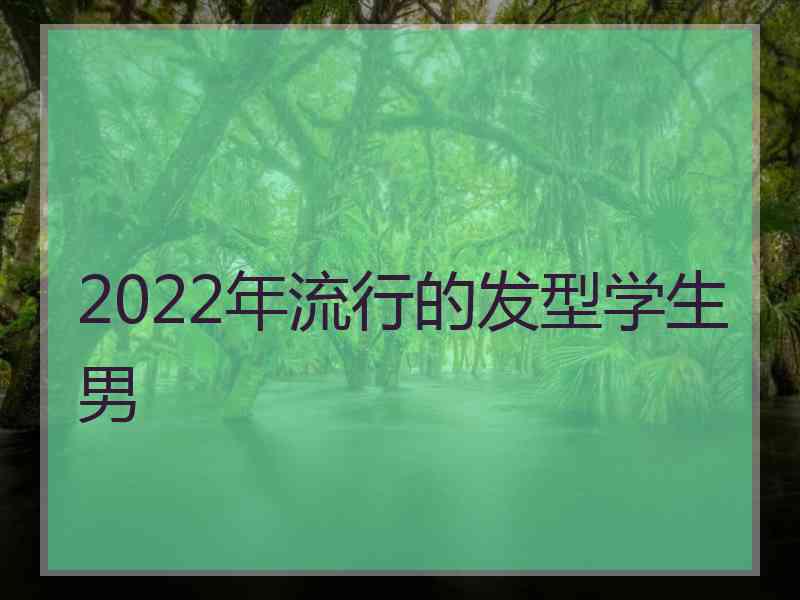 2022年流行的发型学生男