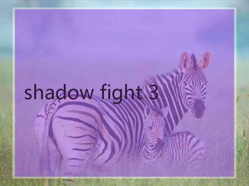 shadow fight 3