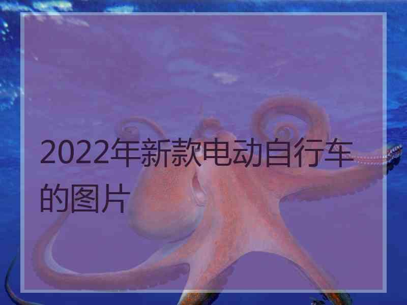 2022年新款电动自行车的图片