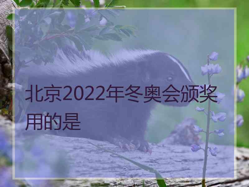 北京2022年冬奥会颁奖用的是