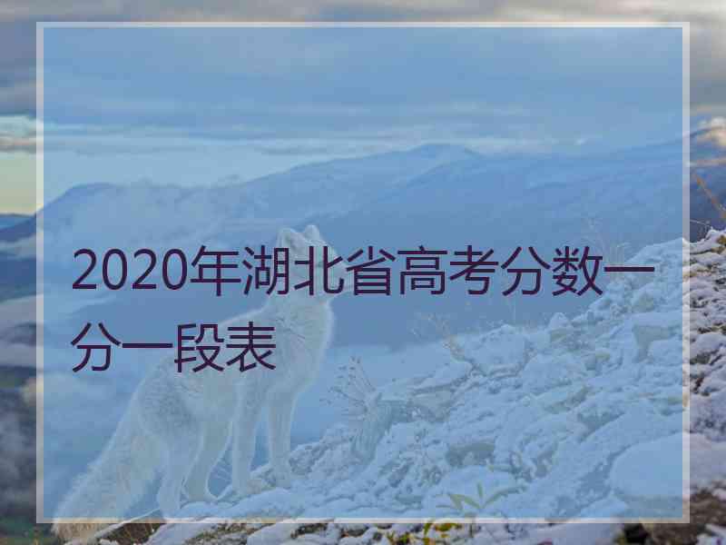 2020年湖北省高考分数一分一段表