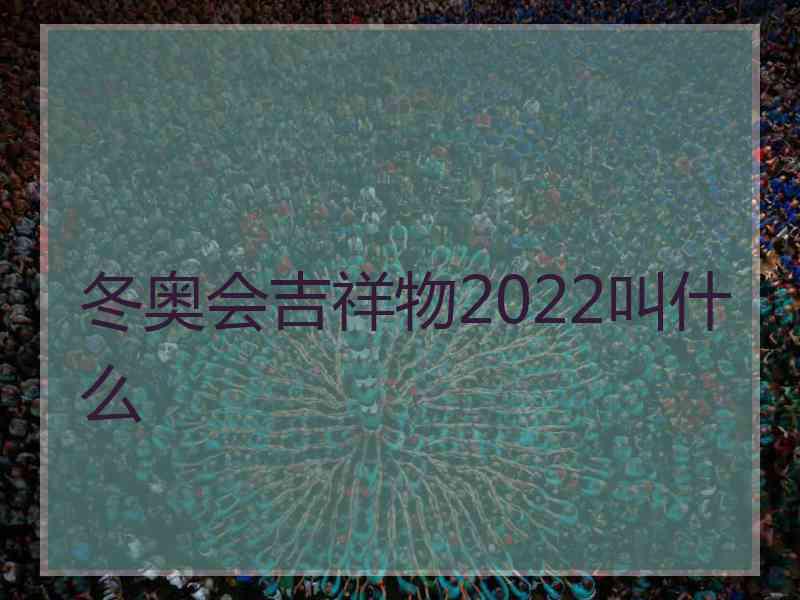 冬奥会吉祥物2022叫什么