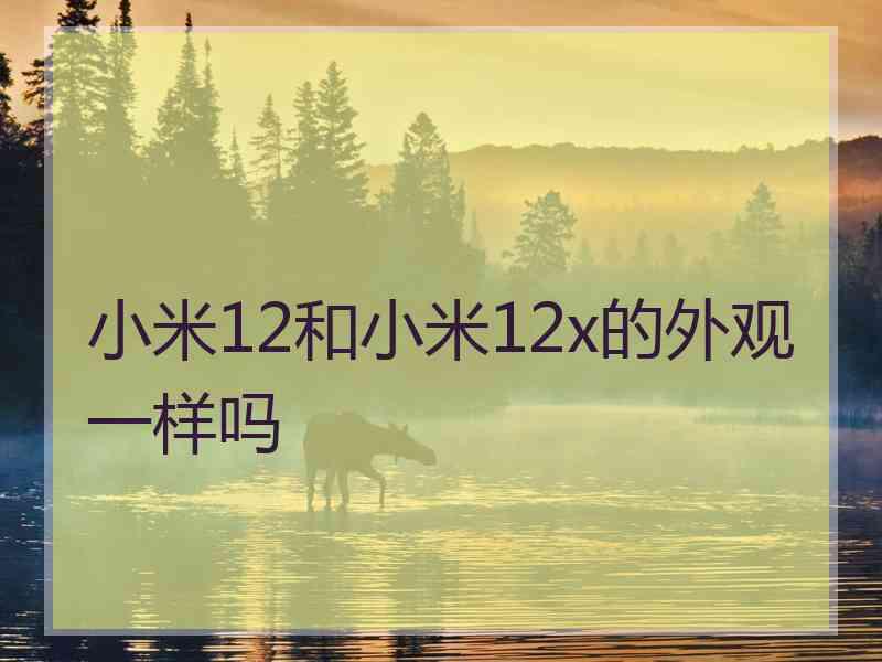 小米12和小米12x的外观一样吗