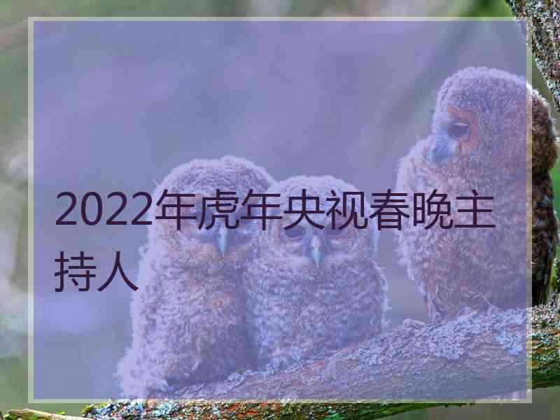 2022年虎年央视春晚主持人