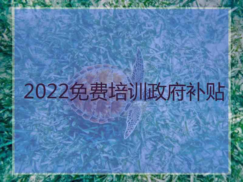 2022免费培训政府补贴