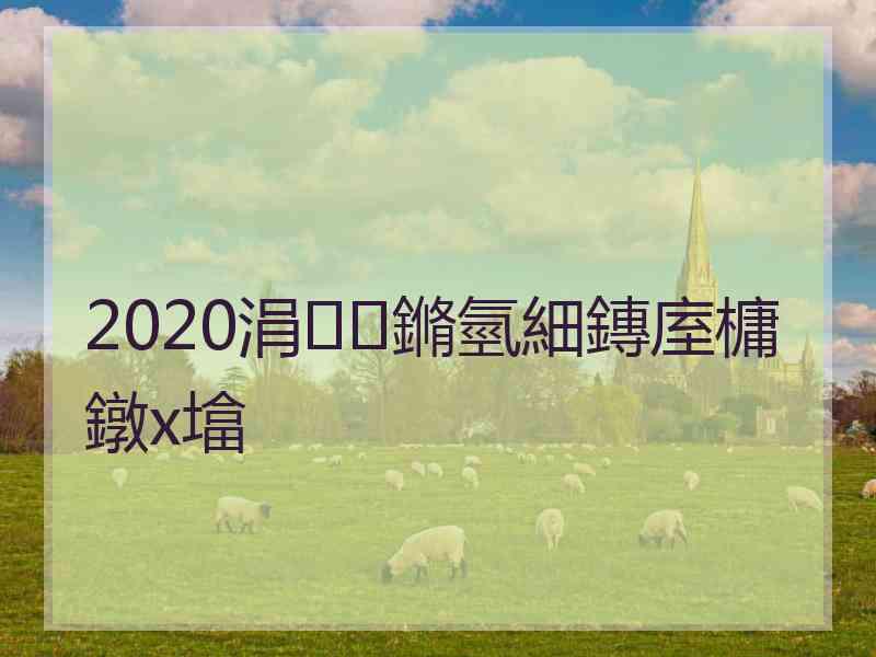 2020涓鏅氫細鏄庢槦鐓х墖