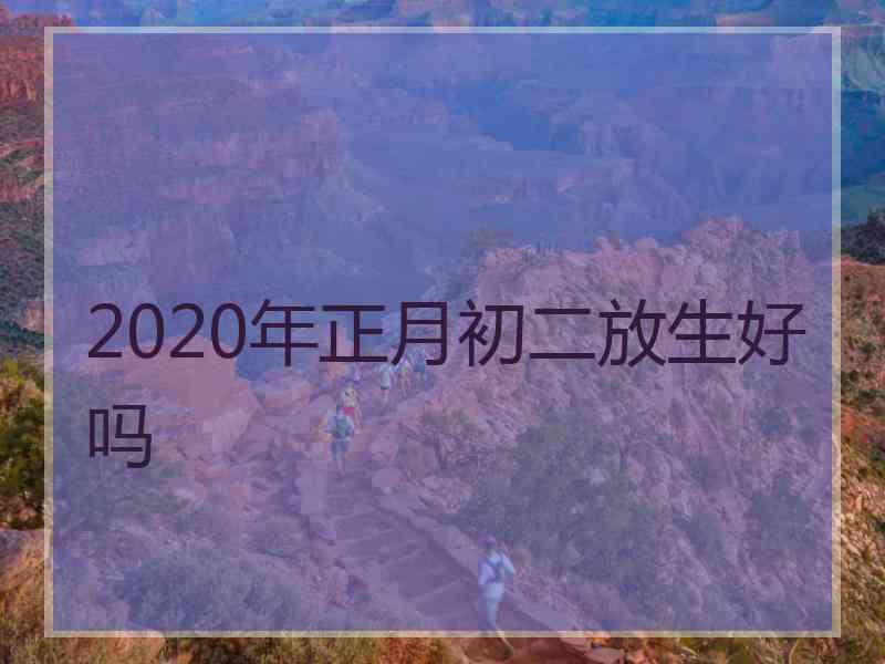 2020年正月初二放生好吗