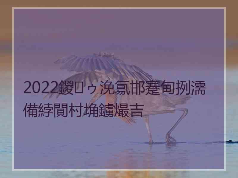 2022鍐ゥ浼氱邯蹇甸挒濡備綍閴村埆鐪熶吉