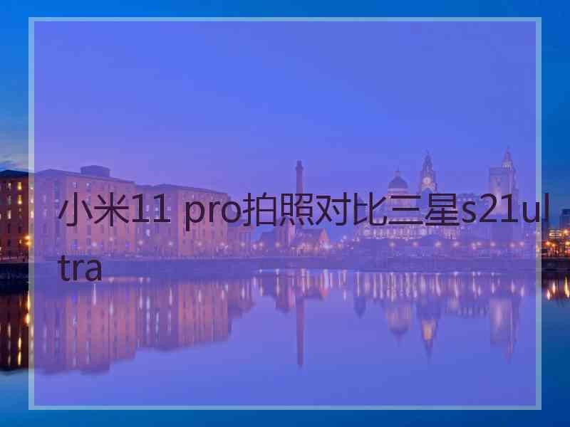 小米11 pro拍照对比三星s21ultra