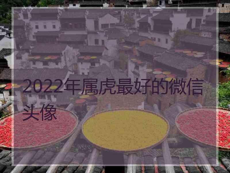 2022年属虎最好的微信头像