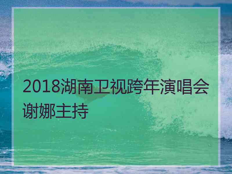 2018湖南卫视跨年演唱会谢娜主持