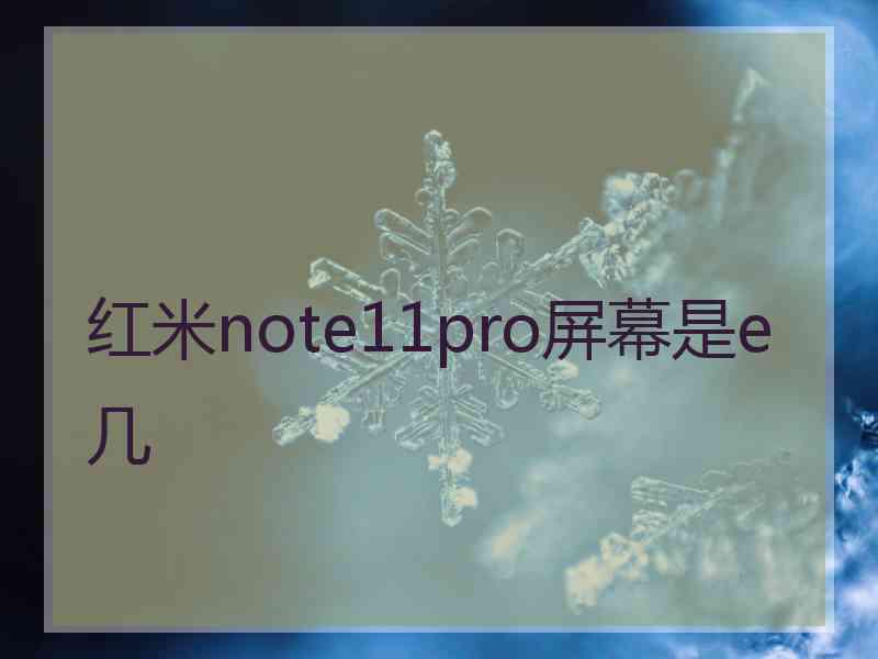 红米note11pro屏幕是e几