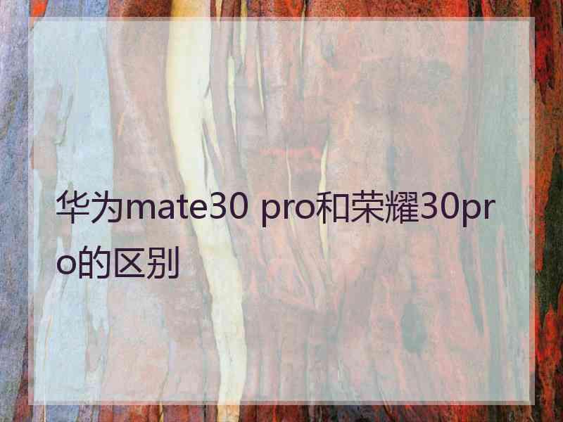 华为mate30 pro和荣耀30pro的区别