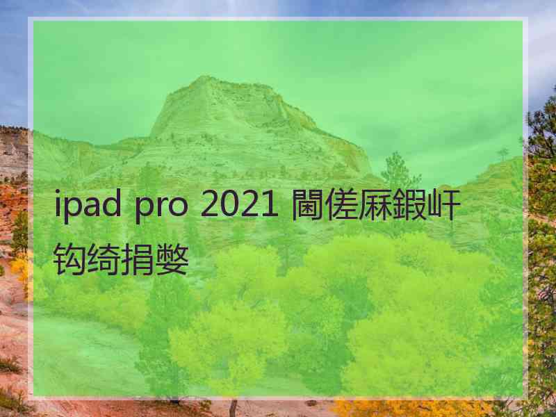 ipad pro 2021 閫傞厤鍜屽钩绮捐嫳