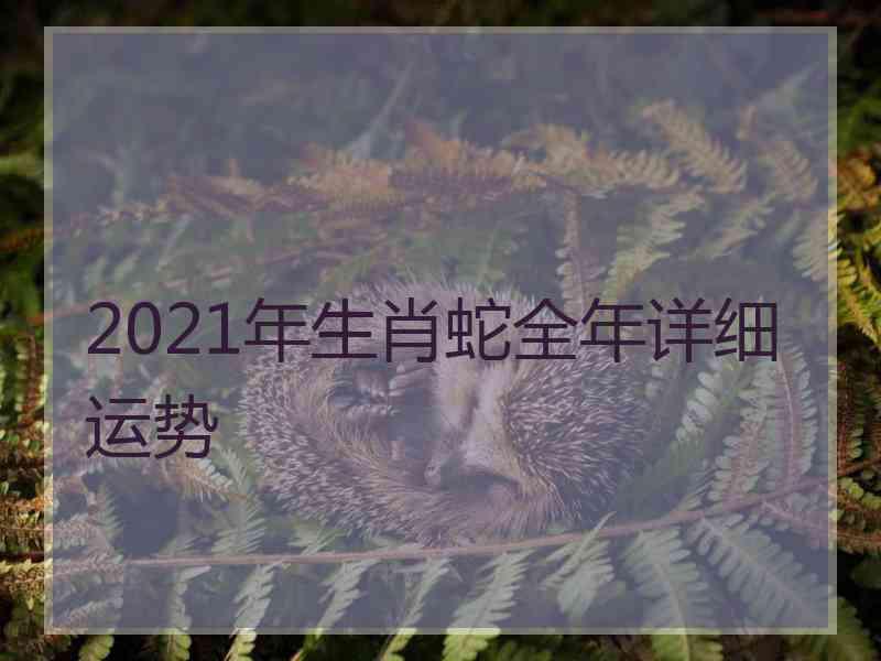 2021年生肖蛇全年详细运势