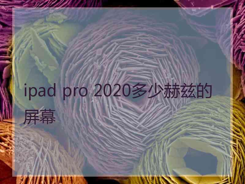 ipad pro 2020多少赫兹的屏幕