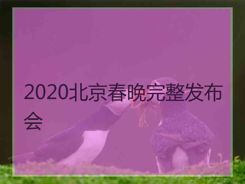 2020北京春晚完整发布会