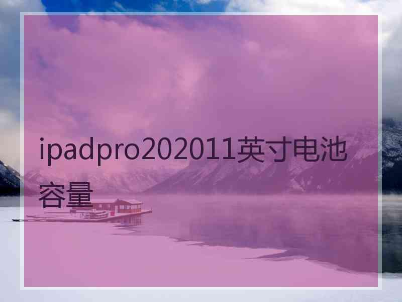 ipadpro202011英寸电池容量